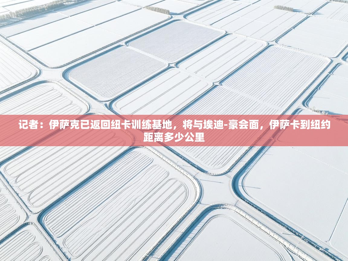 记者:伊萨克已返回纽卡训练基地,将与埃迪-豪会面,伊萨卡到纽约距离多少公里 第2张