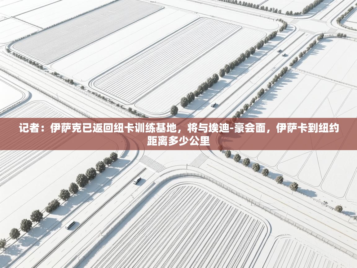 记者:伊萨克已返回纽卡训练基地,将与埃迪-豪会面,伊萨卡到纽约距离多少公里 第1张