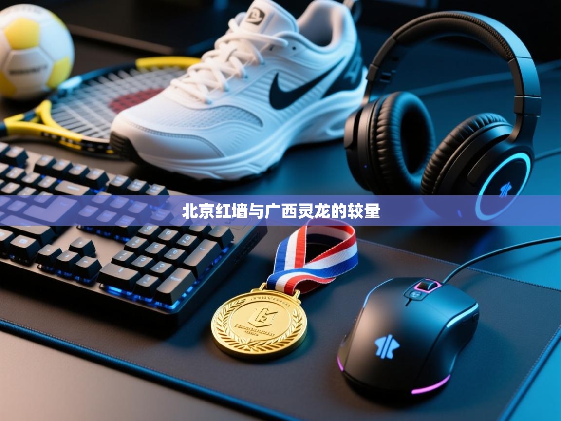 北京红墙与广西灵龙的较量  第2张